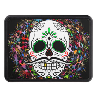 Skull20170396 Dragkroksskydd