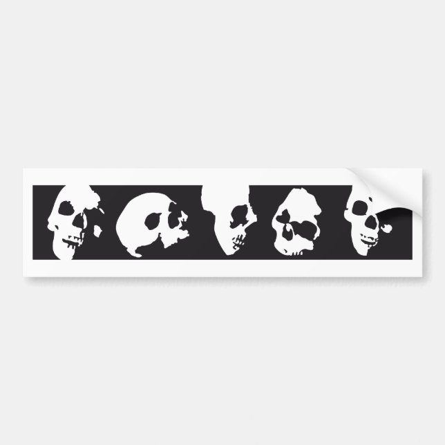 skull bildekal (Framsidan)
