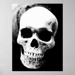 Skull Black White Fantasy Metall Sten Poster