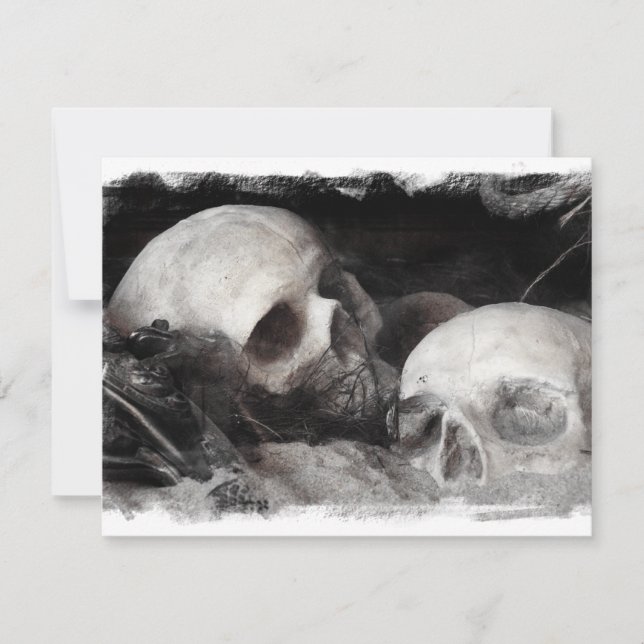 Skull Buddies (Framsida)