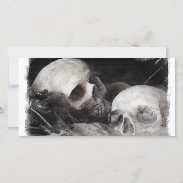 Skull Buddies (Framsida)