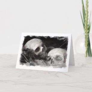 Skull Buddies Kort