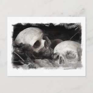 Skull Buddies Vykort