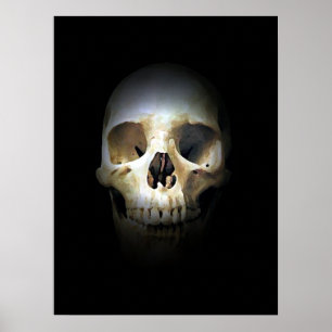 Skull Fantasy Art Sten Punk Heavy Metall Poster