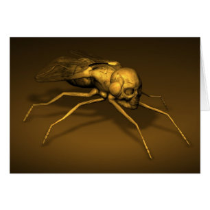 Skull Fly Hälsningskort