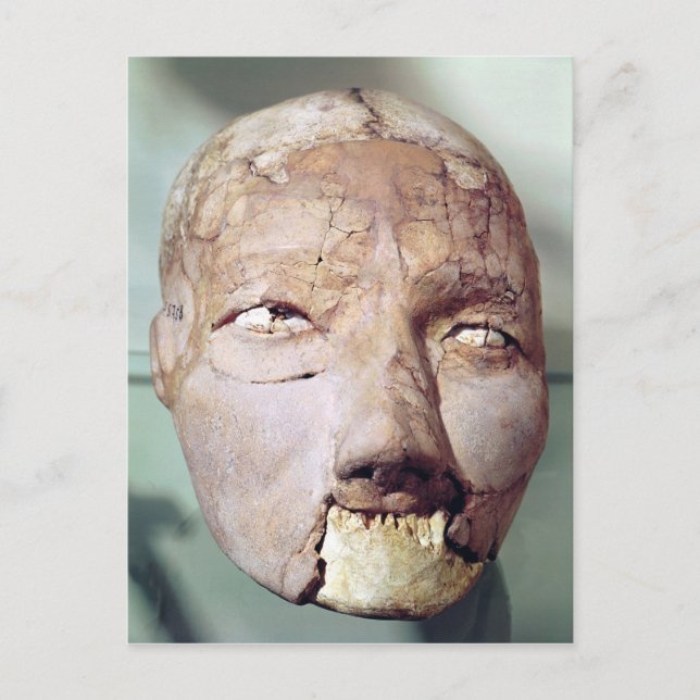 Skull, från Jericho, 7000-6000 BC Vykort (Framsida)
