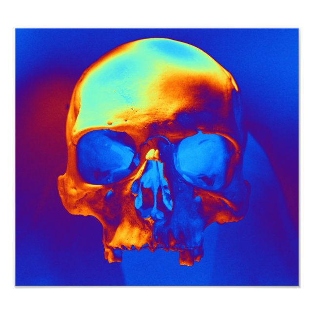 Skull i blått och Guld Fototryck (Framsidan)