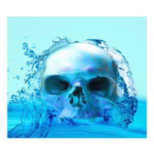 Skull i Vatten Fototryck