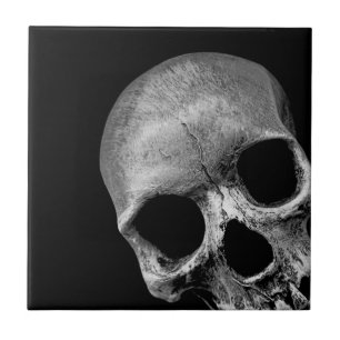 Skull Kakelplatta