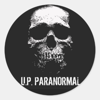 SKULL LOGOTYP - STICKER LAKAN RUNT KLISTERMÄRKE