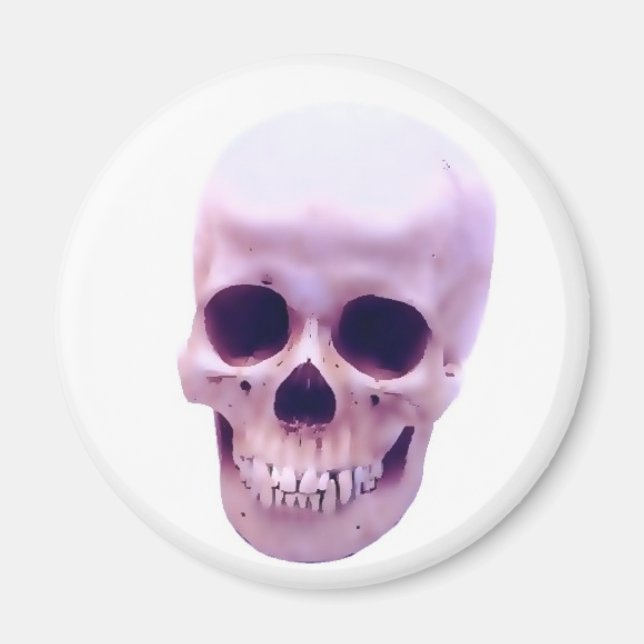 Skull Magnet (Framsidan)