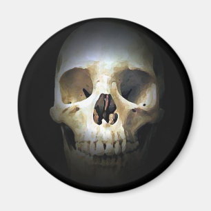 Skull Magnet