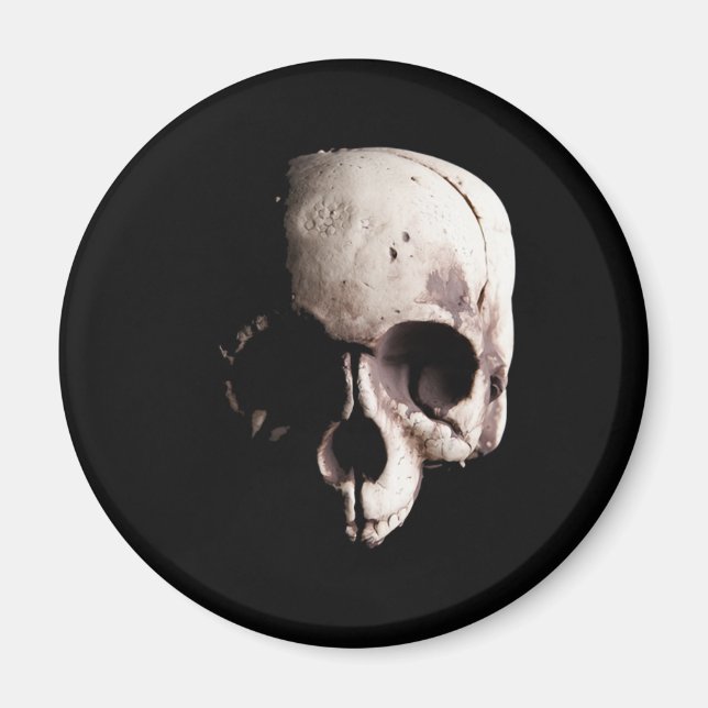 Skull Magnet (Framsidan)