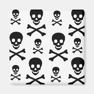 Skull N Crossbone Magnet