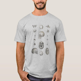 Skull och ben Anatomy T-shirt