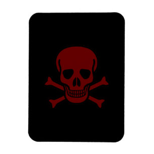 Skull och ben magnet