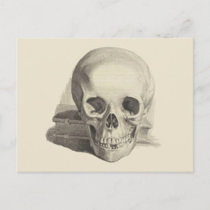 Skull och Bok Vykort