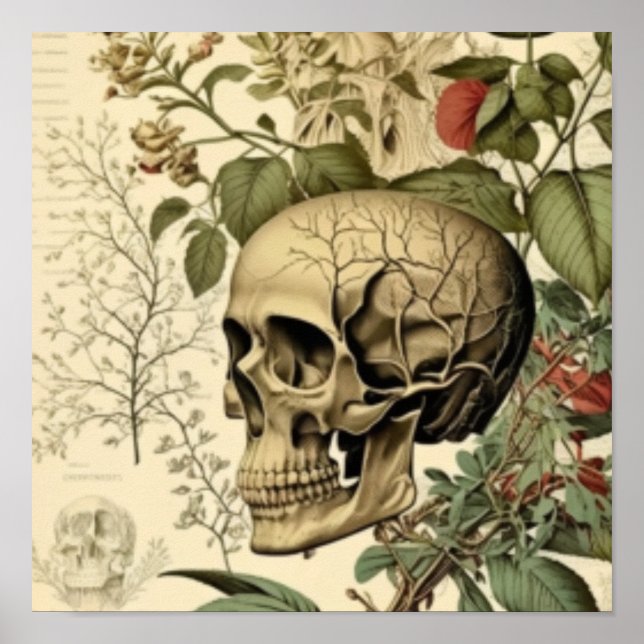 Skull och botany Victorian Poster (Framsidan)