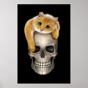 Skull och katt poster