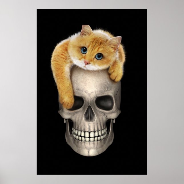 Skull och katt poster (Framsidan)