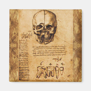 SKULL OCH TEETH,DENTAL CLINIC,DENTIST PARchMENT Magnet