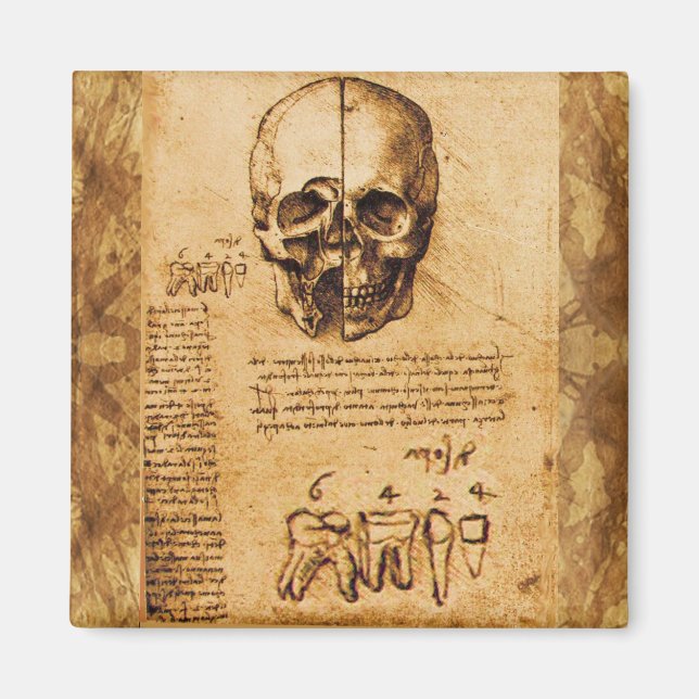 SKULL OCH TEETH,DENTAL CLINIC,DENTIST PARchMENT Magnet (Framsidan)