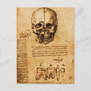 SKULL OCH TEETH,DENTAL CLINIC,DENTIST PARchMENT Vykort