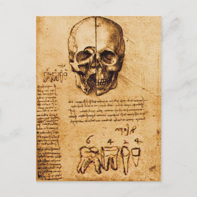 SKULL OCH TEETH,DENTAL CLINIC,DENTIST PARchMENT Vykort (Framsida)