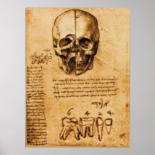 SKULL OCH TEETH,DENTAL CLINIC,DENTIST POSTER