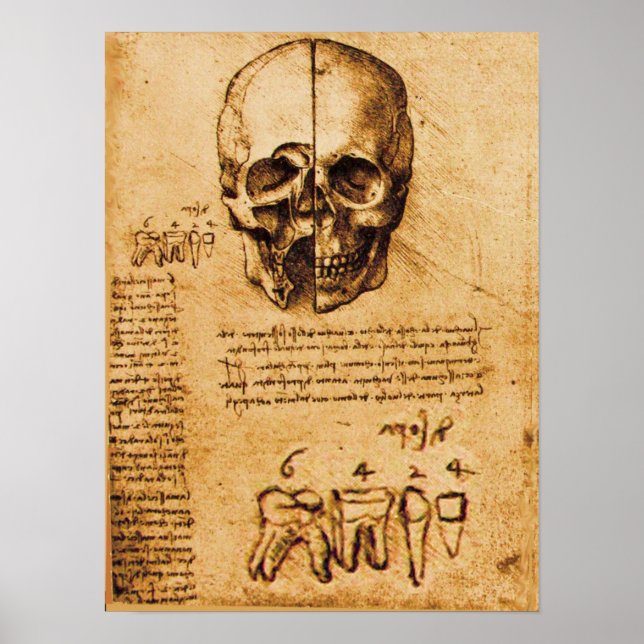 SKULL OCH TEETH,DENTAL CLINIC,DENTIST POSTER (Framsidan)