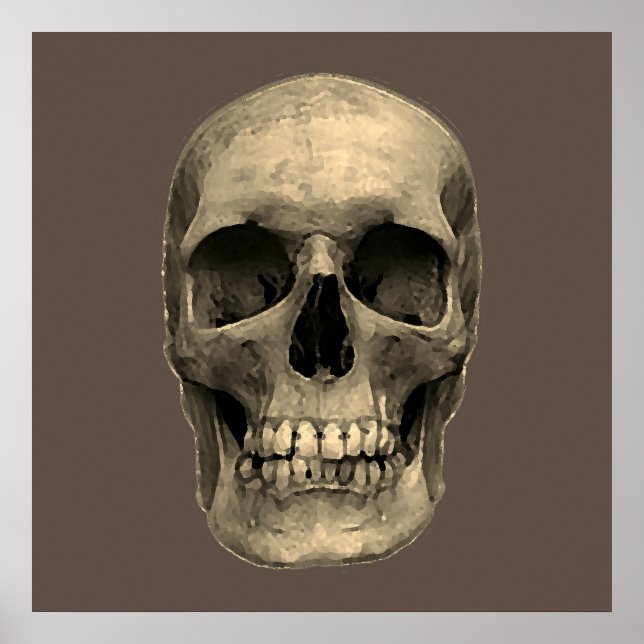Skull Pop Art Sepia Retro Poster (Framsidan)