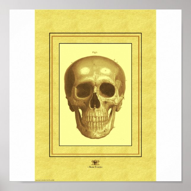 Skull Poster (Framsidan)