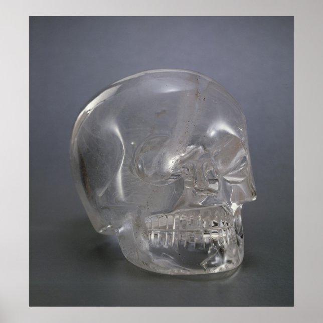 Skull Poster (Framsidan)