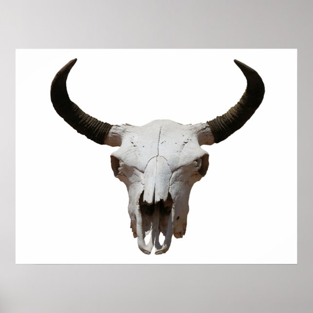 Skull Poster (Framsidan)