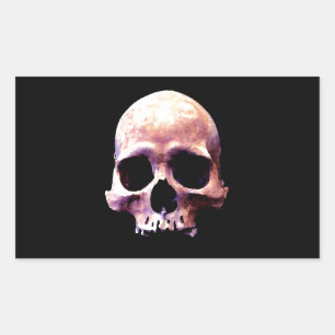Skull Rektangulärt Klistermärke