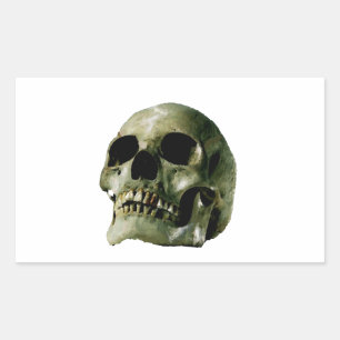Skull Rektangulärt Klistermärke
