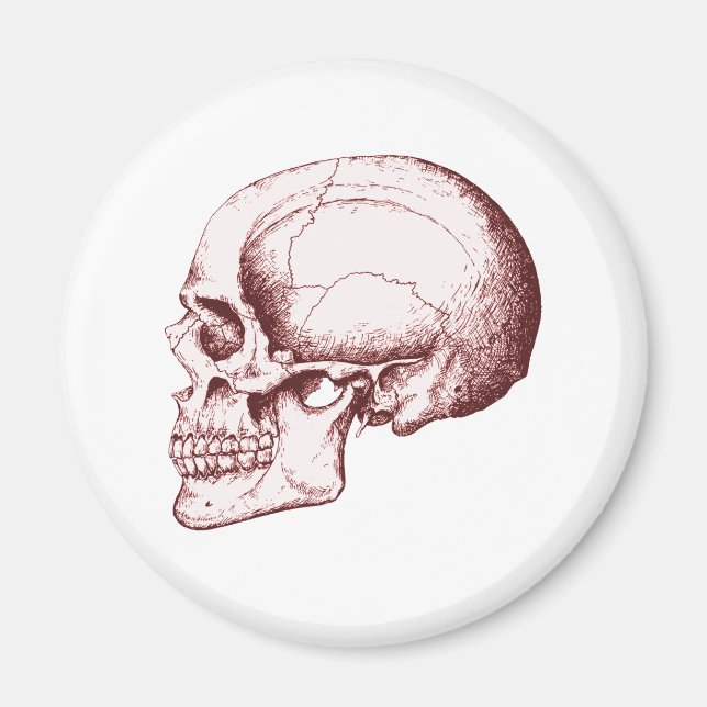 Skull Sid eRed Magnet (Framsidan)