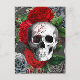 Skull Vykort