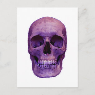 Skull Vykort