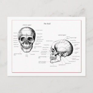 Skulldetaljer framsida och sida vykort