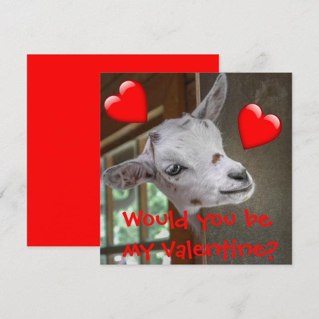 Skulle du vara min Valentine? Goat Funny Card (Fram/baksida)