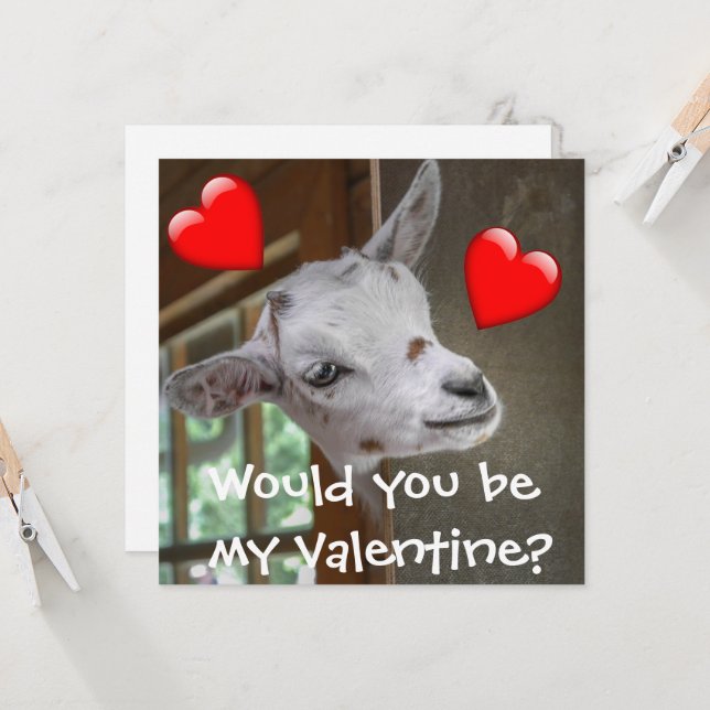 Skulle du vara min Valentine? Goat Funny Card (Fram/Back In Situ)