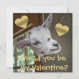 Skulle du vara min Valentine? Goat Funny Valentine