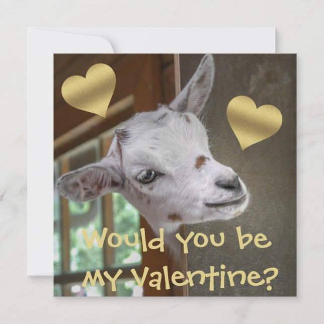 Skulle du vara min Valentine? Goat Funny Valentine (Framsida)