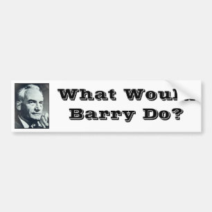 Skulle vad Barry gör? Bildekal