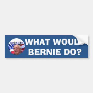 SKULLE VAD BERNIE GÖR? BILDEKAL