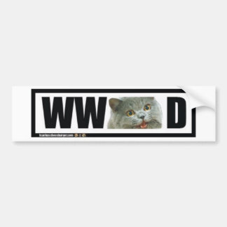 Skulle vad den lyckliga katten gör? bildekal
