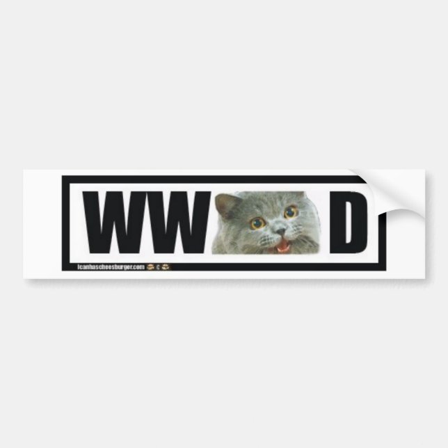 Skulle vad den lyckliga katten gör? bildekal (Framsidan)