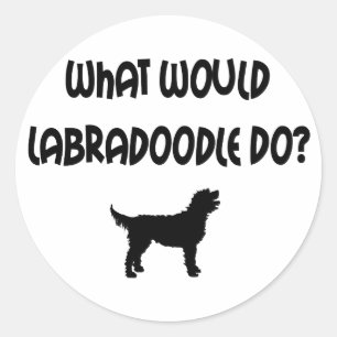 Skulle vad Labradoodle gör? T-tröja & gåvor Runt Klistermärke