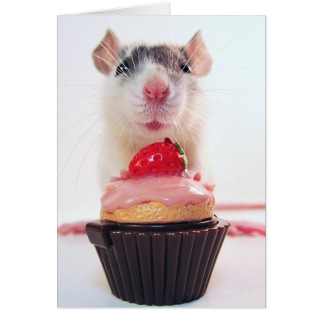 Skulle Yous gillar en godis? Hälsningskort (Framsidan)